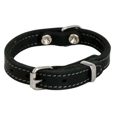 Image de JACK AND VANILLA, Collier pour Chien, Modèle Cuir Gras, Couleur Noir, Taille 30 mm x 70 cm
