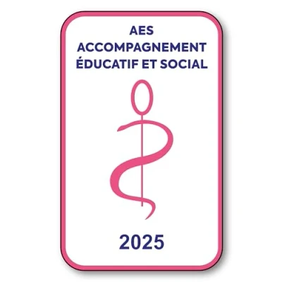 Image de SIGNAL SAFETY Autocollant Sticker Vignette Caducée 2024 pour Pare Brise en Vitrophanie V6 AES Accompagnement Éducatif et Social