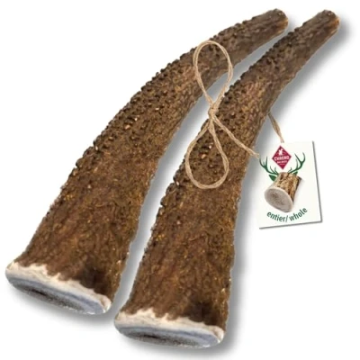 Image de ChronoBalance® Bâton S (Lot de 2) à mâcher en Bois cerf pour Chiens: Jouet Naturel mastiquer, 100% cerf, favorisant l&#039;hygiène Dentaire, sans additifs, Durable