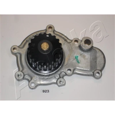 Image de Pompe à eau ASHIKA 35 09 923
