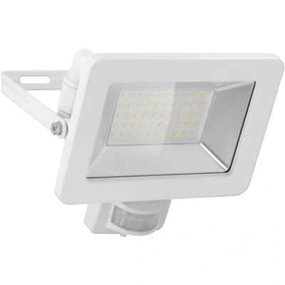 Image de goobay 53884 Projecteur LED avec détecteur de mouvement 50 W Blanc neutre 4000 K 4250 lm Angle d&#039;éclairage 100 Indice protection IP65