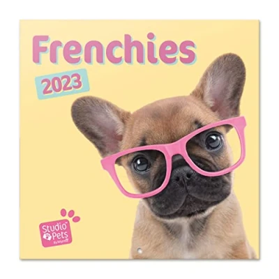Image de Grupo Erik CP23061 Calendrier Mural 2023 Chiens 12 MOIS Janvier à Décembre 30 x 60 cm, Certifié FSC, Mensuel en Français