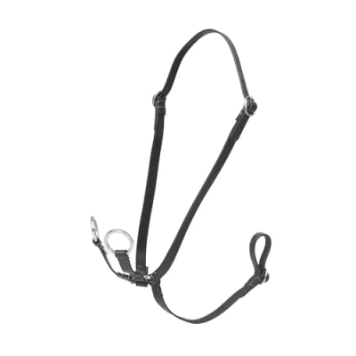 Image de LeMieux Hobby Horse Running Martingale Marron