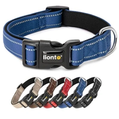 Image de lionto Collier pour Chien rembourré en Nylon réfléchissant imperméable réglable, Taille M, Bleu