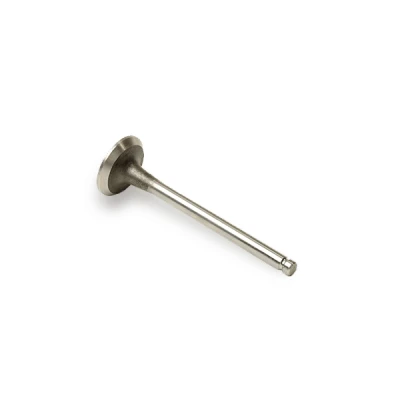 Image de AUTOMEGA 130107610 Soupape d&#039;Échappement OPEL: Astra G CC, Vectra B F CC