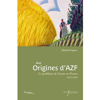 Image de Aux origines d&#039;AZF: Le problème de l&#039;azote en France (1919 1940)