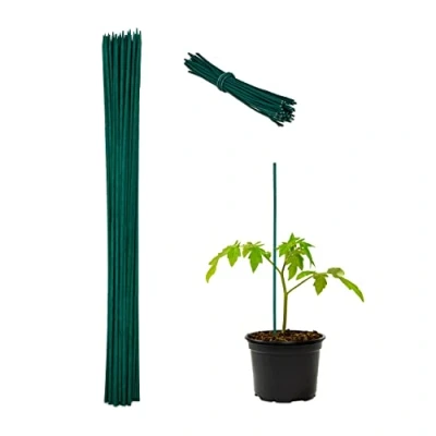 Image de Relaxdays Tuteur à tomates en Bambou avec Fil de Fer, Lot 50, pour Les Fleurs et légumes, 60 x 0,6 cm, Vert