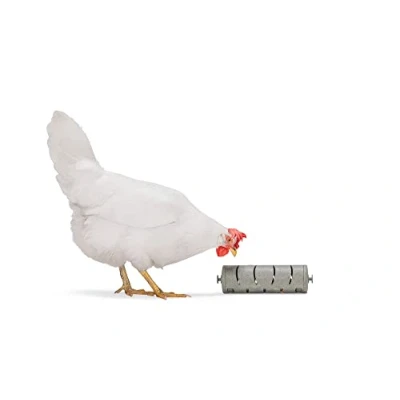 Image de Beeztees BZ Huehner Rouleau à goûter Gris 22,5 x 6,5 cm
