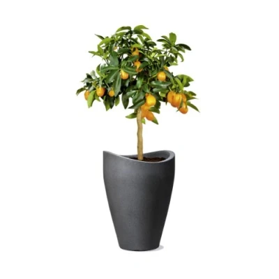 Image de Scheurich 54265 254/40 Wave Globe High Pot de Fleurs Plastique Noir 30 x 40 cm