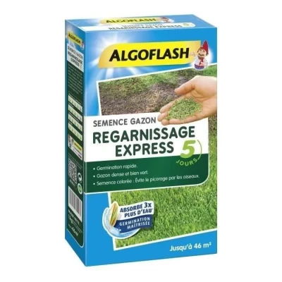 Image de ALGOFLASH Semence Gazon Regarnissage Express 5 jour, 1 k g, SEMEX1, Bleu