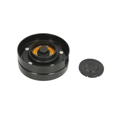 Image de SKF VKMCV 57007 Galet Enrouleur DAF: XF 105