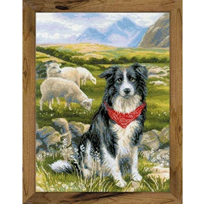 Image de Riolis 1767 Border Collie Kit de point croix en coton Multicolore 3040 cm