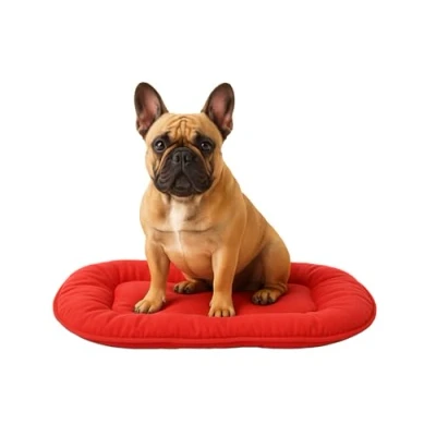 Image de Flamingo Coussin pour Chien Firenze Fin Ovale Rouge 55x39x3cm Idéal Shih Tzu, Pékinois, Cavalier King Charles Spaniel, Pinscher Nain &amp; Papillon