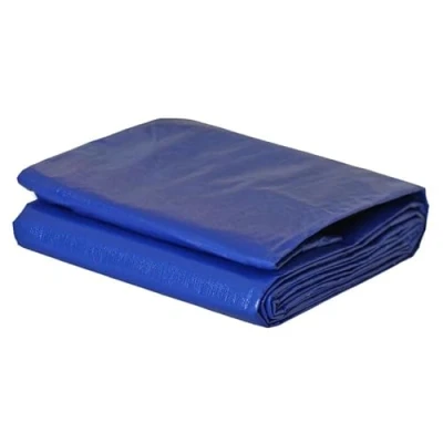 Image de KALEMBAL Bâche Piscine Rectangulaire 6x10 m Filet d&#039;écoulement Bleue Résistante Anti UV Oeillets