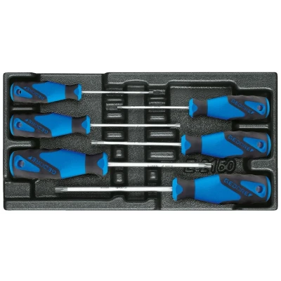 Image de GEDORE 1500 ES 2163 TXB Kit de tournevis dans module d&#039;outil (mousse calage PU)
