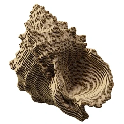 Image de Ensemble de Puzzle 3D CARTONIC Décoration intérieure Activité soirée Assemblez Le coquillage Shell Made from Recycled Cardboard