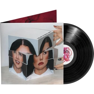 Image de The Art of Being a Mess (LP) [Import]