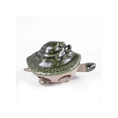 Image de lachineuse Tortue LONGEVITE ARTICULE