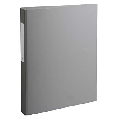 Image de Exacompta réf. 54384E Carton de 10 classeurs rembordés PP 2 anneaux ronds diamètre 25 mm Dos 40 Dimensions extérieures : 32 x 25,5 cm Format à classer A4 Coloris gris