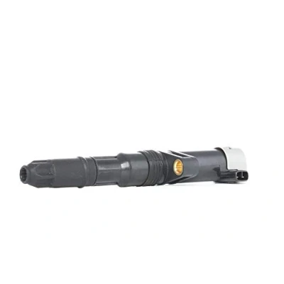 Image de Delphi Bobine d&#039;allumage CE20014 12B1