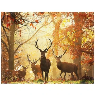 Image de YISUMEI Couverture 150 x 200 cm, douillet, en flanelle douce, jeté de lit, motif cerf automne