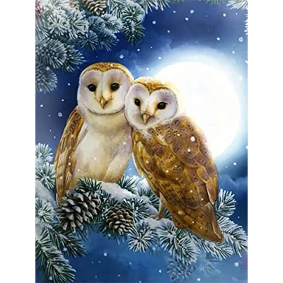 Image de Diamond Painting Set, tableau avec motif chouettes et accessoires, taille env. 33 x 44 cm, set de bricolage pour peindre des pierres scintillantes les enfants à partir 5 ans