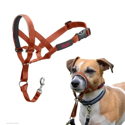 Image de Licol HALTI pour Que Votre Chien arrête de Tirer sur sa Laisse, Facile à Enfiler, Partie entièrement matelassée Le museau, Colliers Anti Traction Petits Chiens (Taille 1, Orange Brûlé)