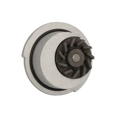 Image de INA 538 0012 10 Pompe à eau 19 OPEL: Corsa B 3/5 portes, Astra G CC, F CC