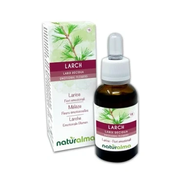 Image de Larch ou Mélèze (Larix decidua) Fleurs de Bach Naturalma Gouttes 30 ml Extrait liquide sans alcool Essences florales Vegan et