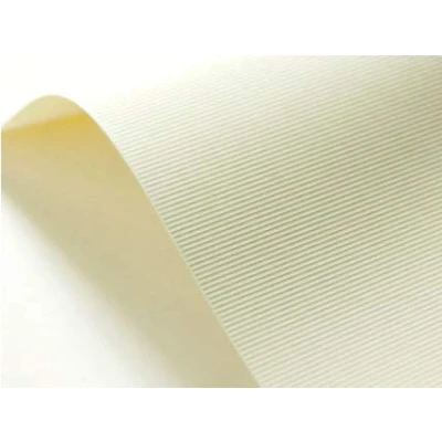 Image de Netuno 20x carton gaufré ivoire lignes A4 210x 297 mm 246 g/m² texturé papier pour cartes de visite invitations baptême première communion mariage décorations vœux