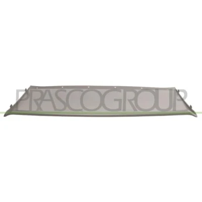 Image de BLIC 5703 05 2579924P Baguette et bande protectrice, pare chocs avant FORD: KUGA 2
