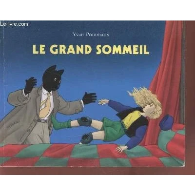 Image de Le Grand Sommeil Livre d’occasion Correct