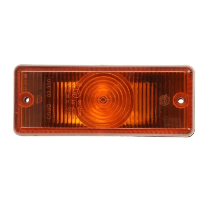 Image de DT Spare Parts 7.25114 Clignotant