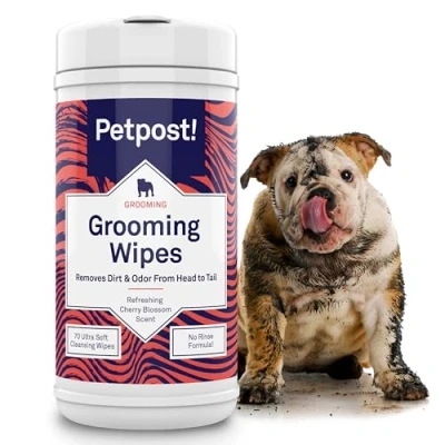Image de Petpost lingettes nettoyantes pour Chien Grandes désodorisantes Senteur Fleur de Cerisier 70 en Coton Ultra Douces imprégnées d&#039;une Solution nettoyante (Fleur Cerisier)