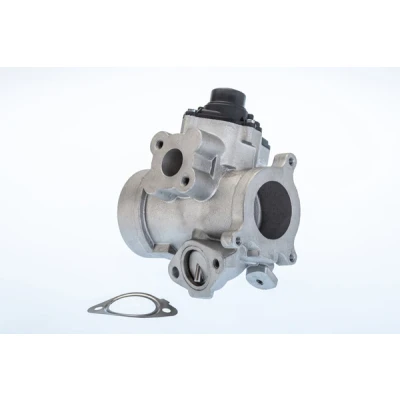 Image de WAHLER 710974R Vanne EGR électrique avec joint d&#039;étanchéite RENAULT: TRAFIC 2 Kasten, ESPACE 4, MASTER OPEL: Vivaro A Van, Combi