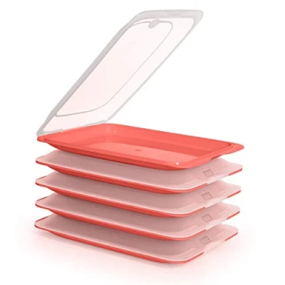 Image de PracticDomus Charcuterie Conteneur Fresh Système, Conservation Optimale des Tranches dans Le Réfrigérateur, Mesures 17 x 3.2 25.2 cm (5X Grey)