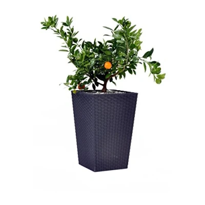 Image de RATTAN STYLE PLANTER Pot moyen format 55 litres résine tressée