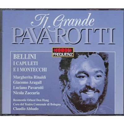 Image de CD VINCENZO BELLINI / MARGHERITA RINAL Capuleti E Montecchi 043508 Frequenz 1995 Italie Classique Occasion
