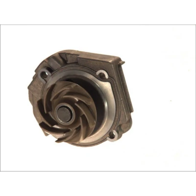 Image de Saleri SIL PA983A Pompe à eau 24 mécanique 59,7 FIAT: Panda I 3/5 portes, Punto II LANCIA: Ypsilon
