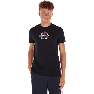 Image de Tommy Hilfiger Global Stripe Wreath TEE Tshirt imprimé, Homme, Taille: XS, Desert sky