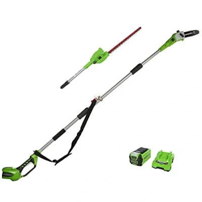 Image de Greenworks G40PSHK2 Élagueuse et Taille Haie à Batterie sur Perche 2 en 1 avec Bandoulière, Guide Tronçonneuse 20 cm, Lames Double Action 51 40V 2Ah Chargeur, Garantie 3 Ans