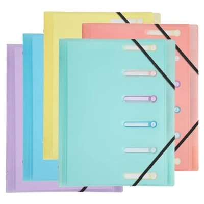 Image de Exacompta Réf 56170E Carton de 10 trieurs Chromaline Pastel 3 rabats avec élastiques et fenêtres découpées couverture intérieur en PP 6 compartiments dim 25x32cm pour A4 assorties