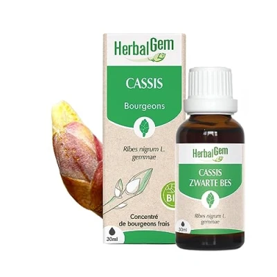 Image de Herbalgem Cassis Bio Complément Alimentaire Extrait De Bourgeon Frais Pour Articulations, 30 ml