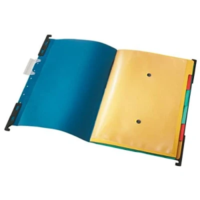 Image de Leitz 18900035 Dossier suspendu trieur en carton Divide it Up avec 6 intercalaires intégrés (Bleu) (Import Allemagne)