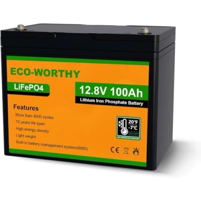 Image de ECO WORTHY Batterie Lithium 12V 100AH,Batterie LiFePO4 Rechargeable avec BMS et la Protection de Basse température Solaire pour Camping Car, pêche à Ligne, caravanes, système