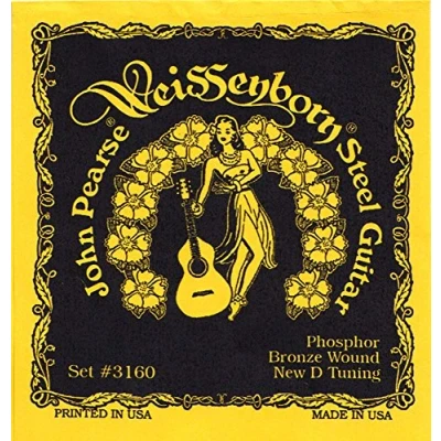 Image de John Pearse Strings 3160 Jeu de Cordes pour Guitare Weissenborn Steel Phosphor Bronze New D Tuning