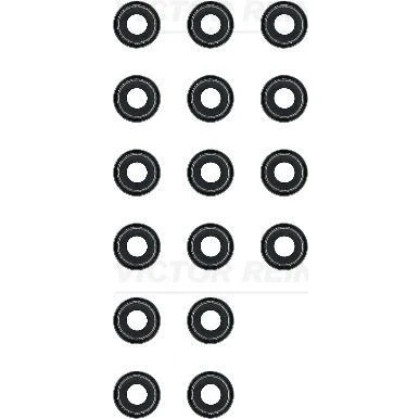 Image de REINZ 12 52772 03 Jeu de joints d&#039;étanchéité, tige soupape NISSAN: Pathfinder 3, X Trail, NP300 Navara Pick up, RENAULT: Koleos I