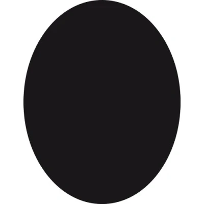 Image de Securit Tableau Noir Ovale FB de 30 x 50 cm Maximum