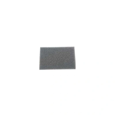 Image de Filtre moteur Groupe SEB RS RT4314 aspirateur filtre/mousse