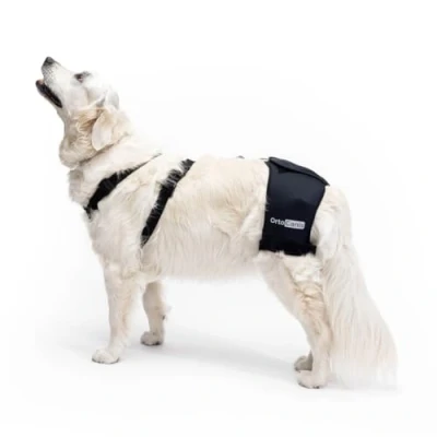 Image de Ortocanis Orthèse Chien, Soutien des Hanches, Chiens Souffrant de Dysplasie la Hanche ou d’Arthrose, Taille M